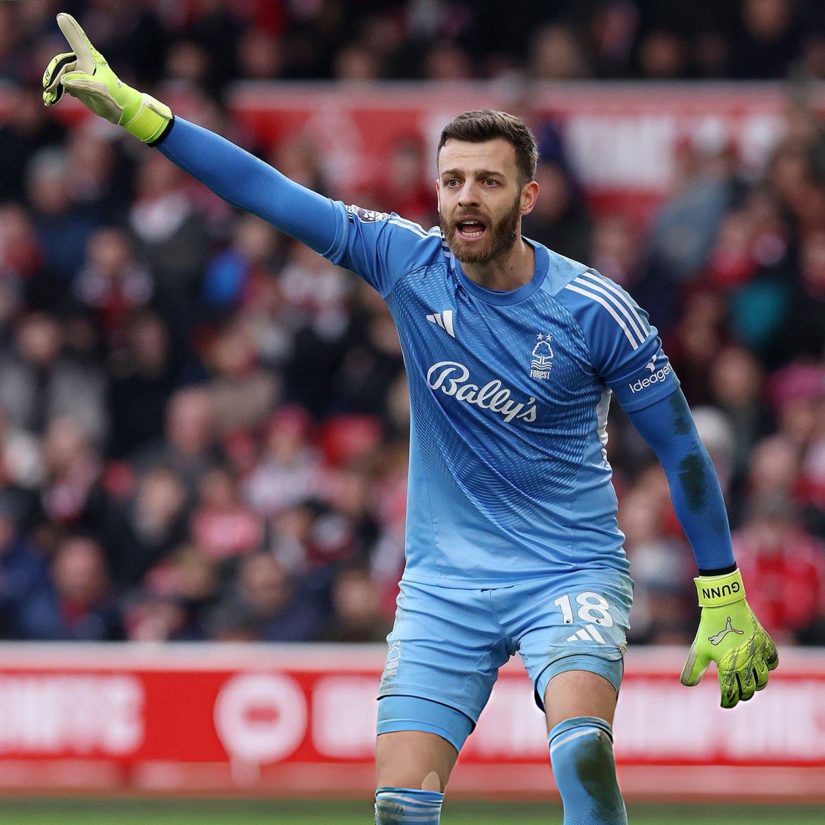 Congrats to <a href="/AngusGunn01/">Angus Gunn</a> on his debut at <a href="/NFFC/">Nottingham Forest</a> today!! 🌳 🌳 🏴󠁧󠁢󠁳󠁣󠁴󠁿🏴󠁧󠁢󠁳󠁣󠁴󠁿🌳🌳 #proud