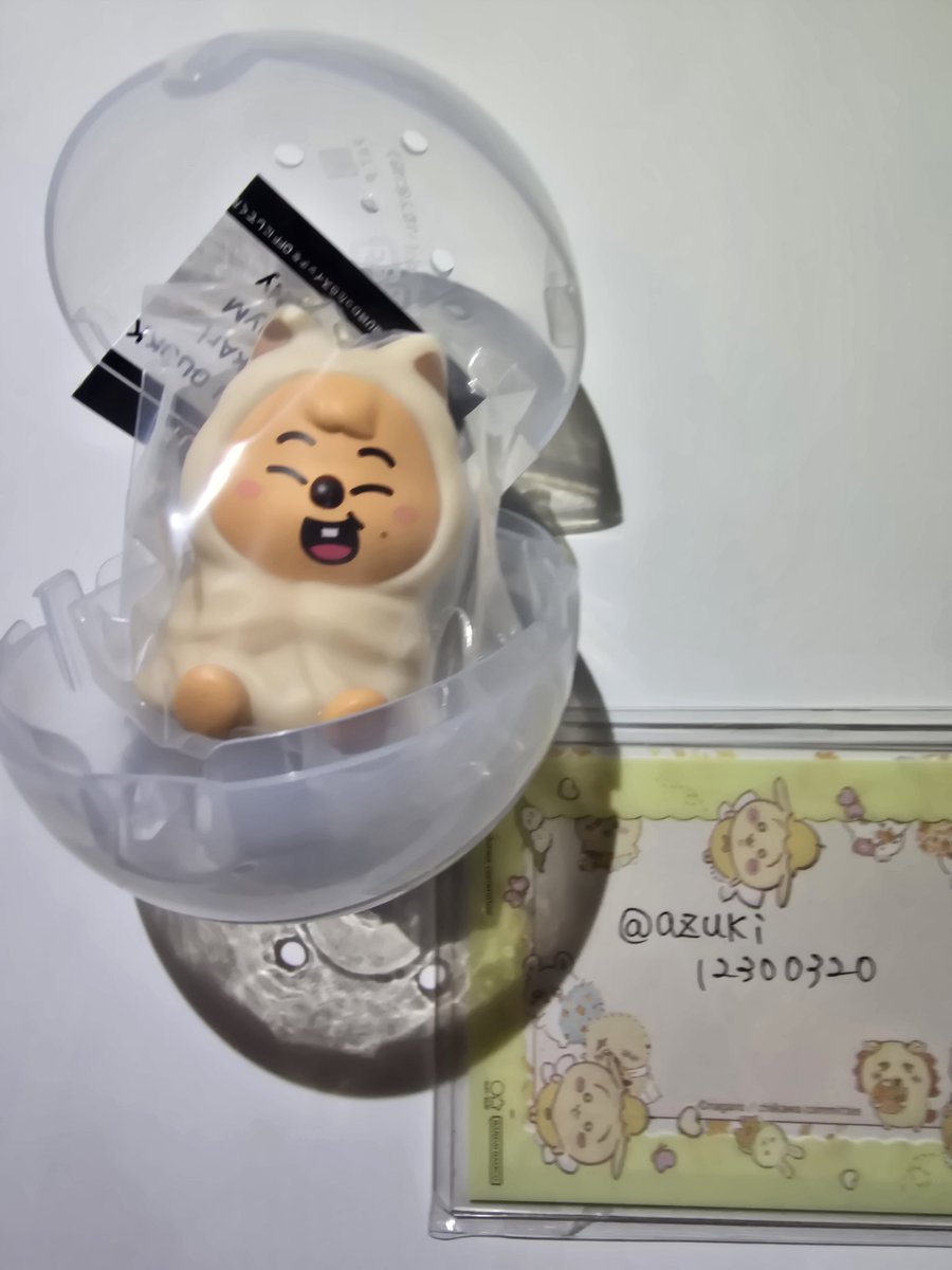 azuki🐻‍交換垢 tweet media