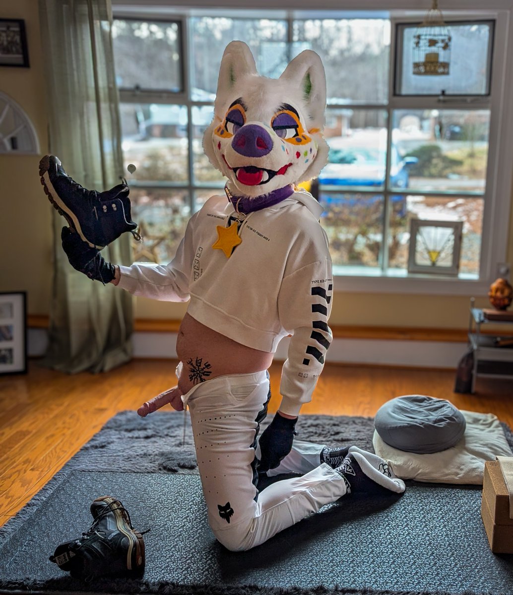 Waffle 🧇 tweet media