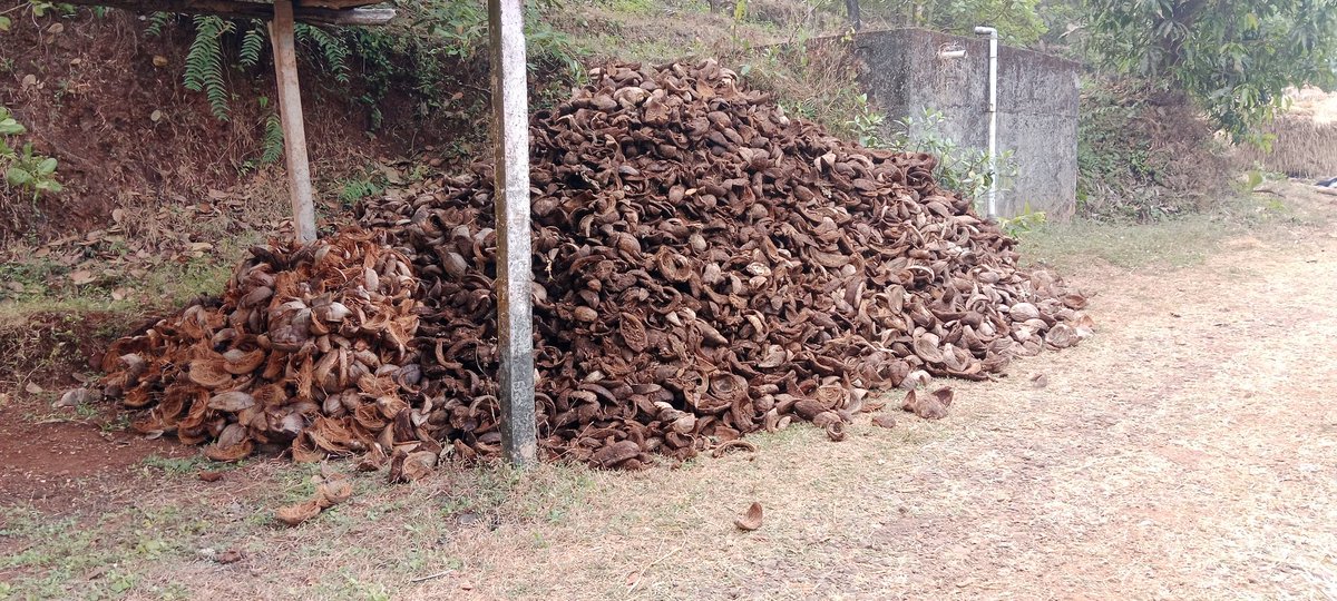 MYCOCOMPOST's tweet photo. #Mycocompost #कोकण
आमच्या गुहागर मधील सुरू असलेल्या मोबाईल ऍग्रो वेस्ट Shredding service मुळे शेतकऱ्यांना झालेला आर्थिक फायदा,,आणि तोदेखील त्यांच्याच शेतीतील कचऱ्यातून.
1200 रू प्रति तासात सुमारे 10 ते 12 हजार रुपयांचे सेंद्रिय खत जागेवर उपलब्ध होते,,,
@icarindia https://t.co/0AtkQk61mA