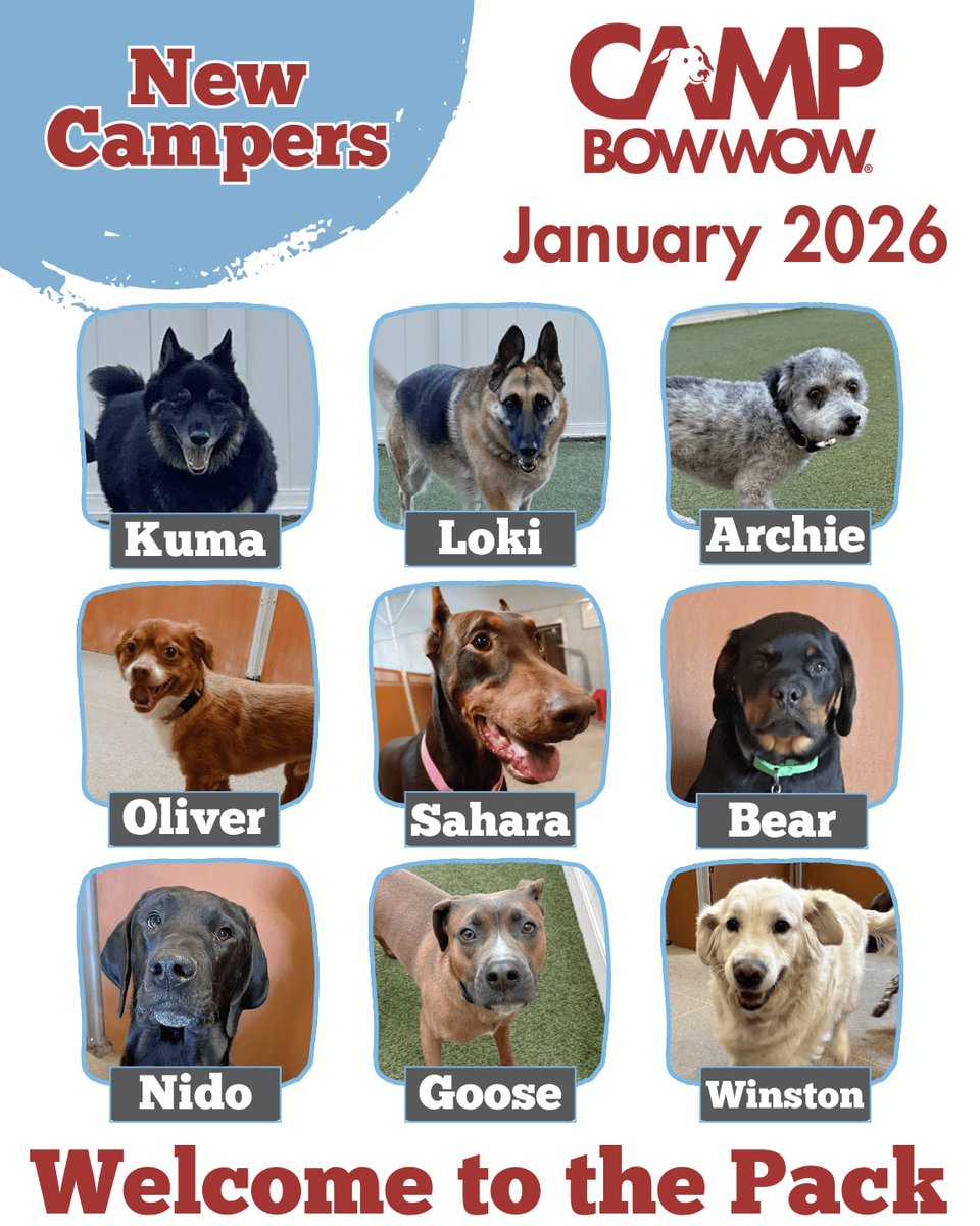 CampBowWow Henderson tweet media