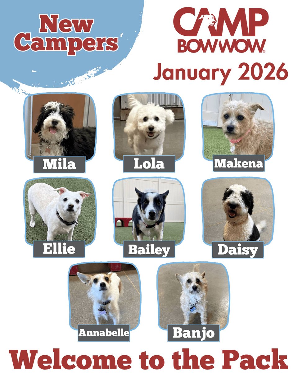 CampBowWow Henderson tweet media