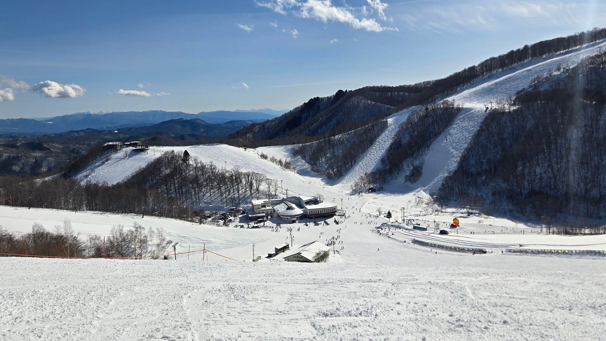 arugantz's tweet photo. かっしーま https://t.co/4qaesNTqFl