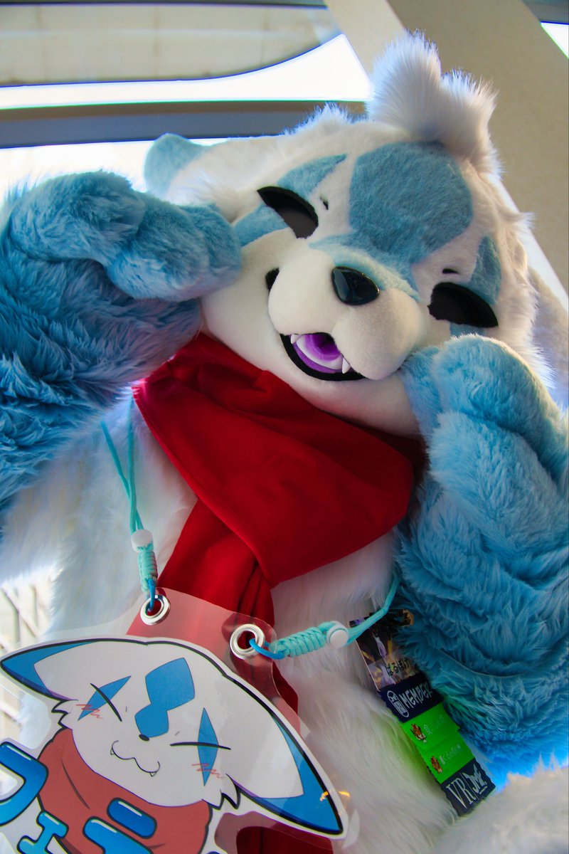 ぱるぽけ tweet media