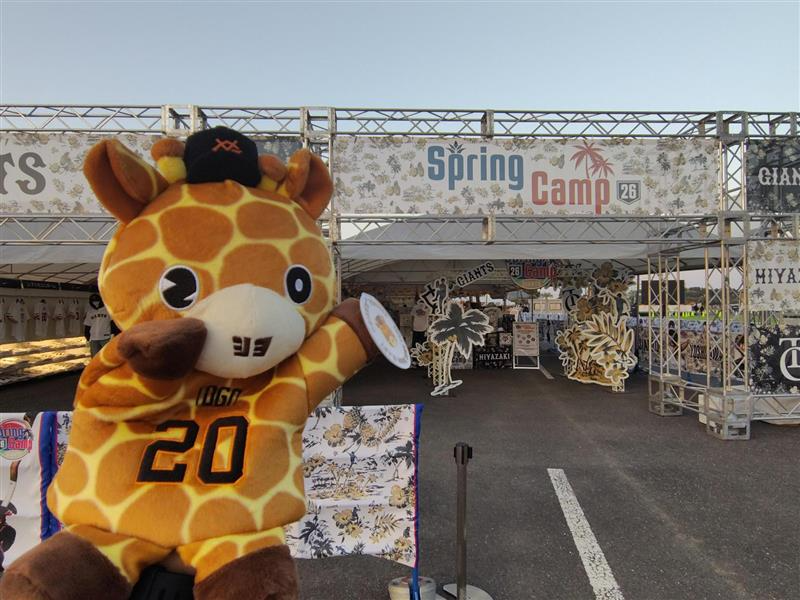 🥭🌴⚾━━‥・ 宮崎キャンプ2日目 ・‥━━⚾🌴🥭 「GIANTS STORE