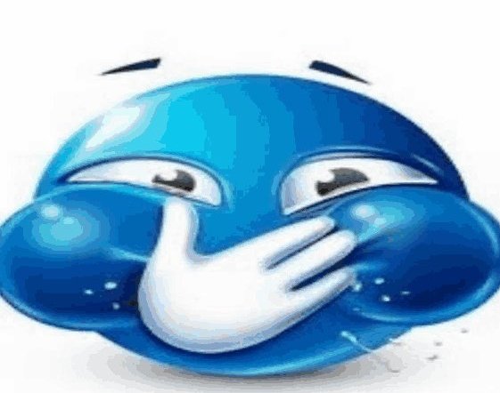 big sister general tweet media