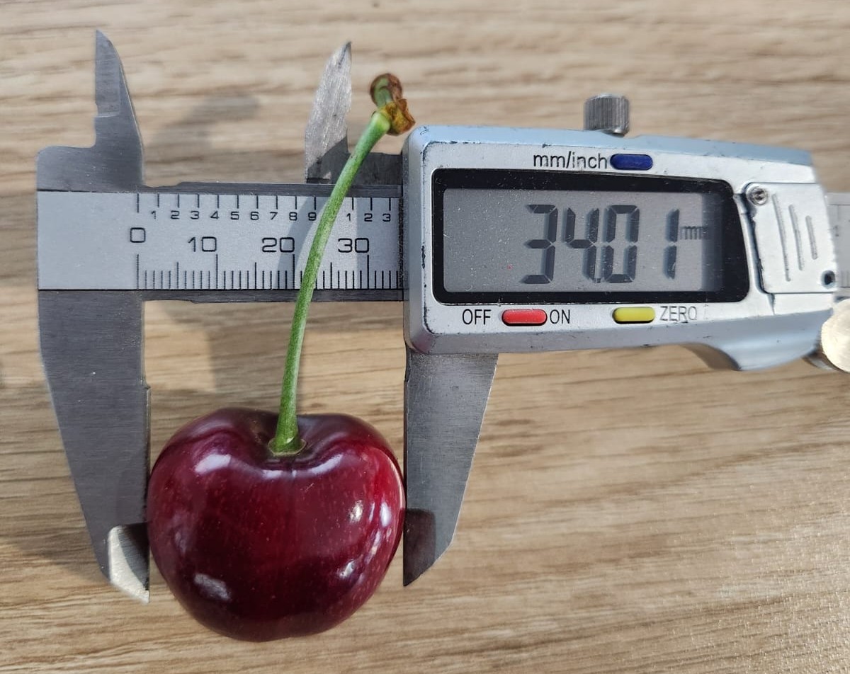 AgNova Technologies tweet media