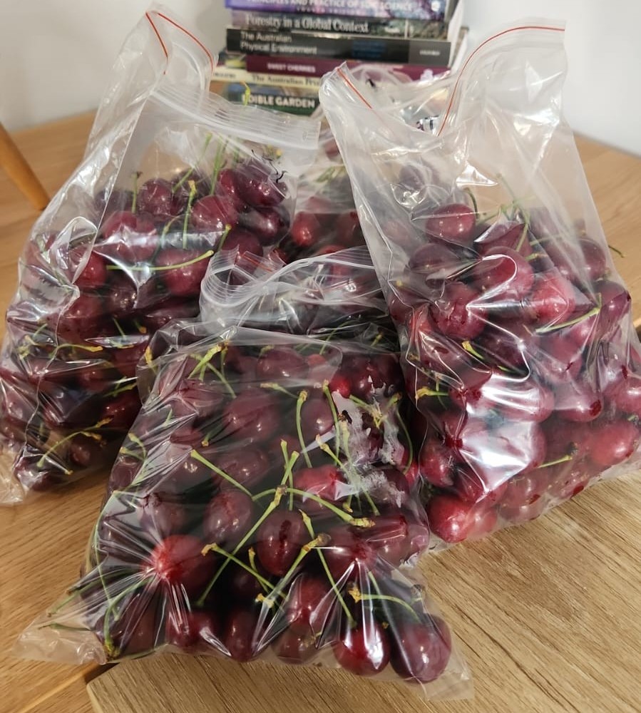 AgNova Technologies tweet media