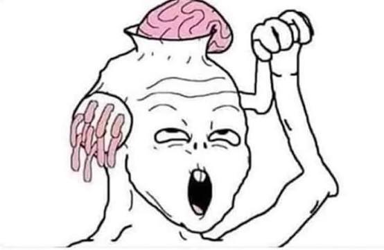 KC Kuymo 🦁 tweet media