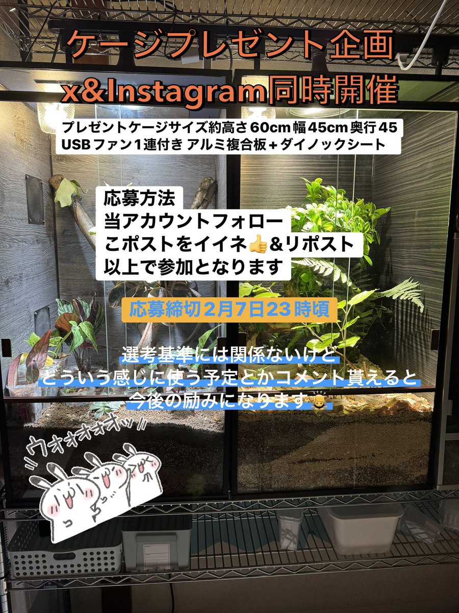 iPad64G's tweet image. 2026年プレゼント企画第1弾
X&amp;amp;Instagramケージプレゼント同時開催！

応募締切     2月7日23時頃

X用プレゼントケージは
サイズ約高さ60cm幅45cm奥行45cm
アルミ複合板+レザー調のダイノックシート
床も汚れが落ちやすいダイノックシート仕様

Instagram用プレゼントケージは…