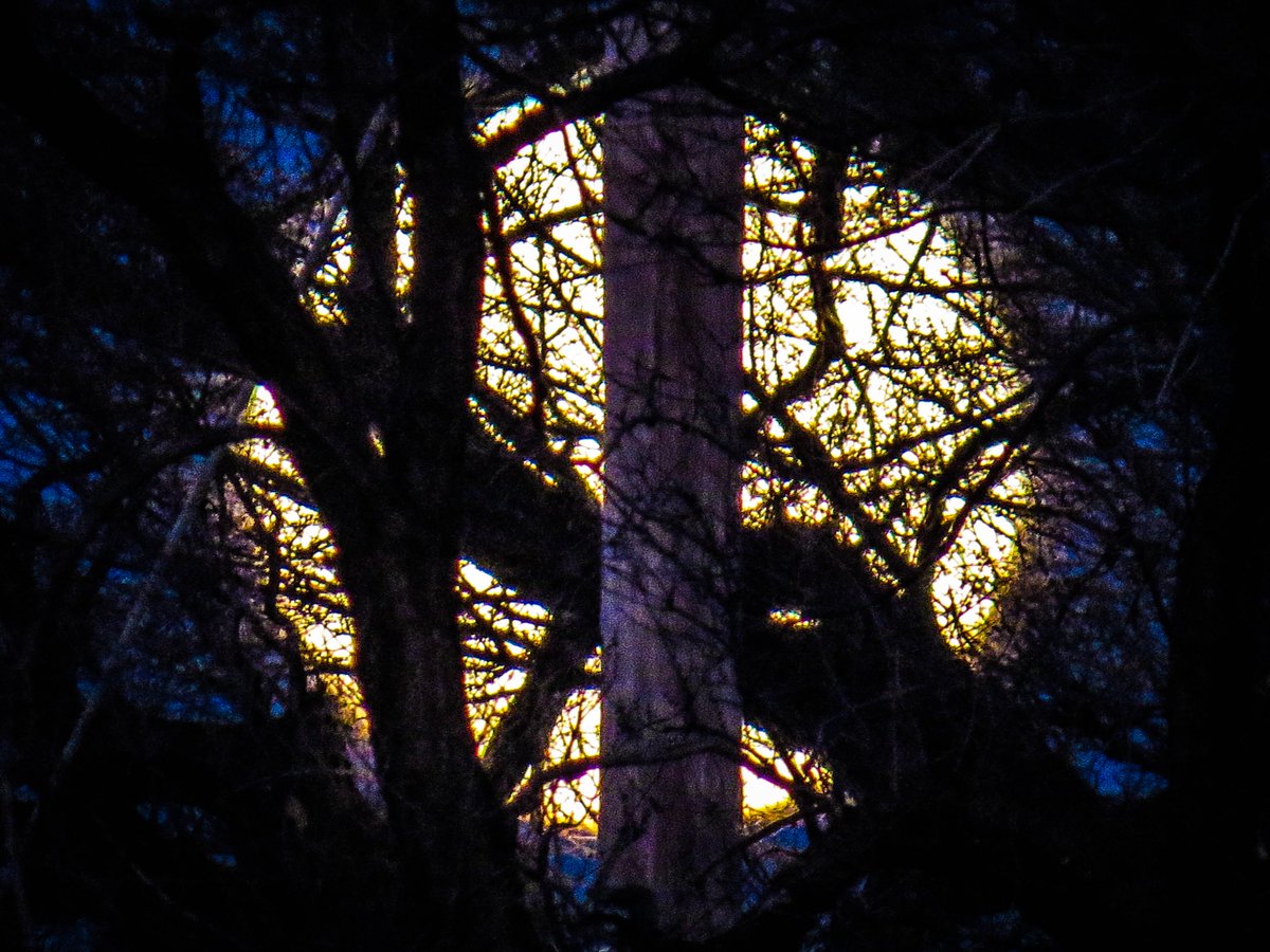 bill hughes tweet media