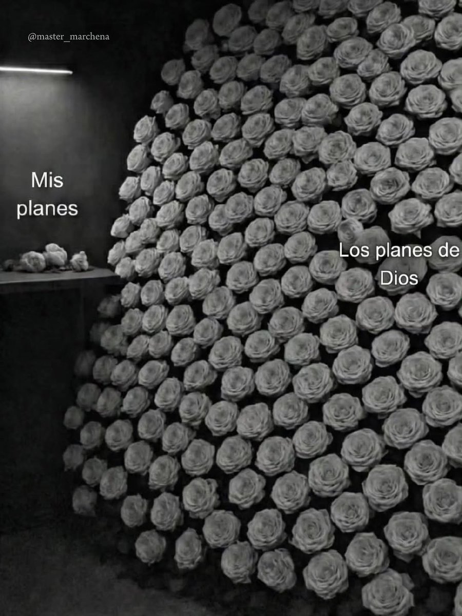 León🦁♒️ tweet media