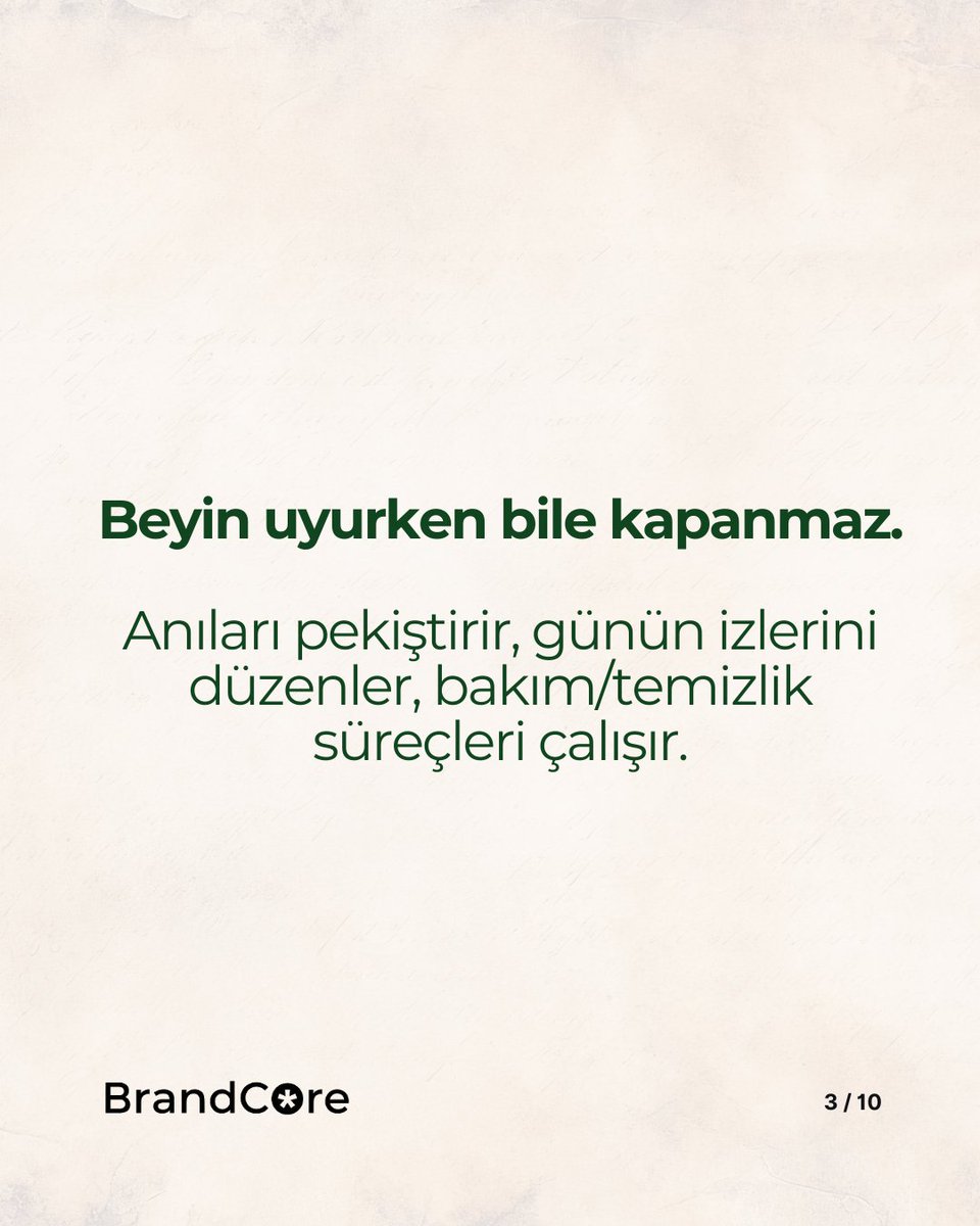 kutluco's tweet photo. Beyin, tek bir yetenek etiketinden ibaret değildir; bütünlük ve entegrasyon üzerinden çalışır. https://t.co/6tZMnK8e4t