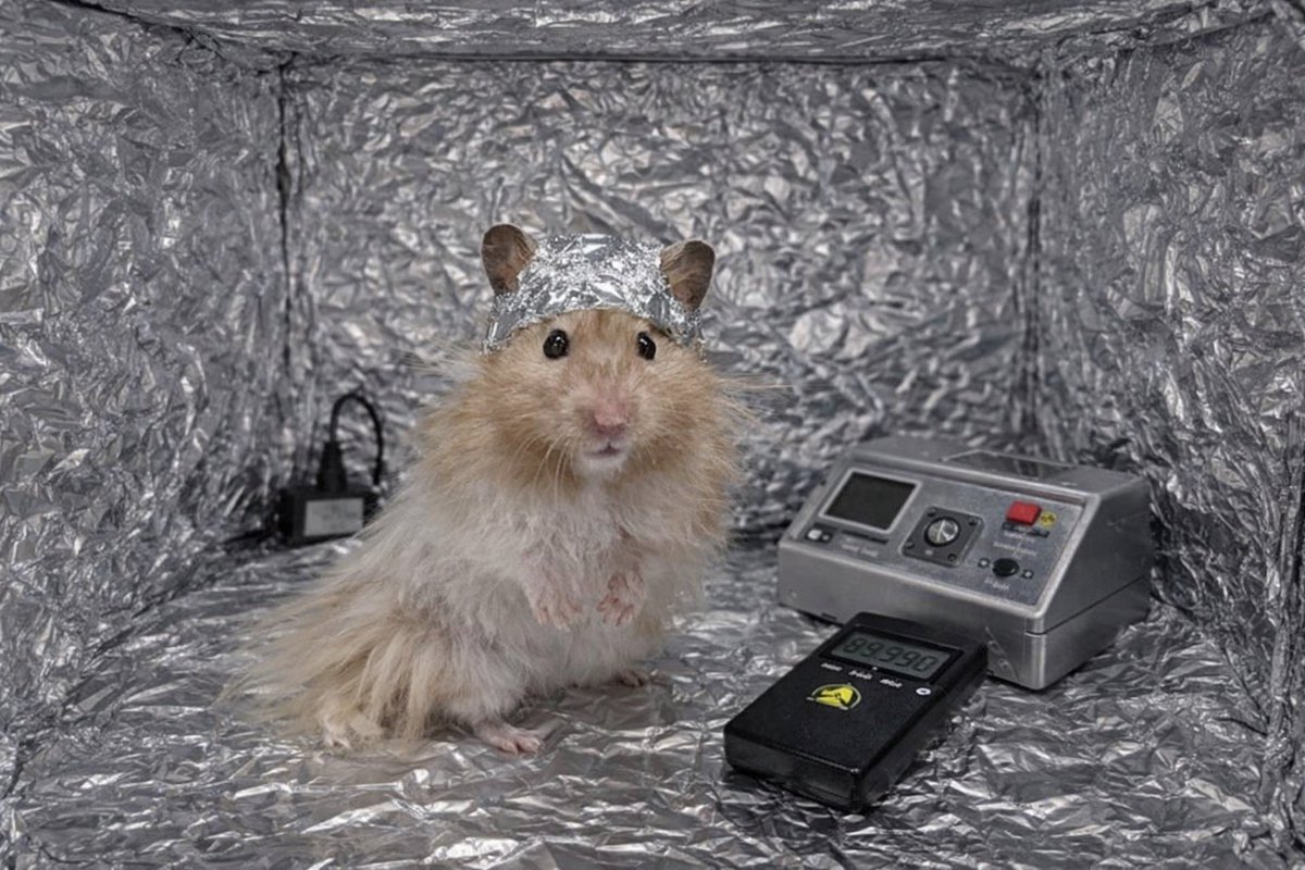 さいきん人につけられたりしてる気がするんでちゅ