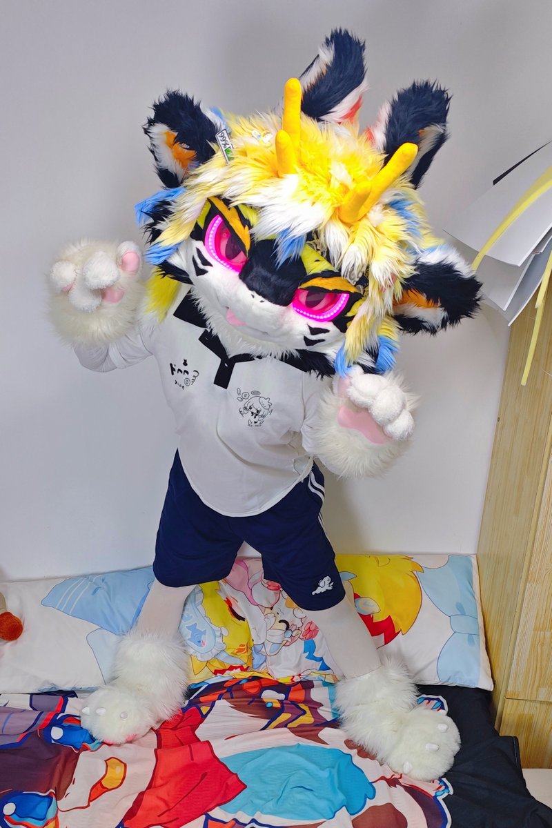 小阿月OwO tweet media