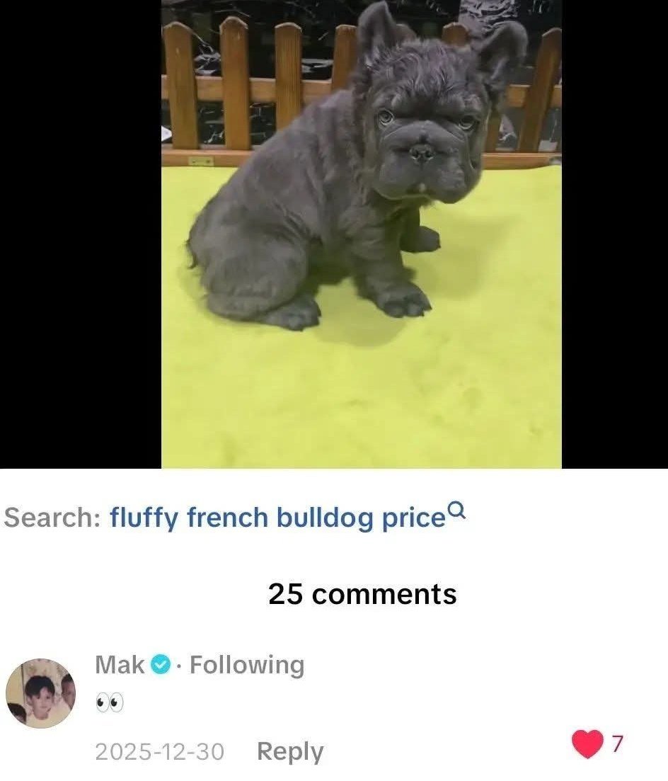 mitchgllrm's tweet image. Last year pa pala to pinag planuhan ni JM bilhin 💛

#JMFyang