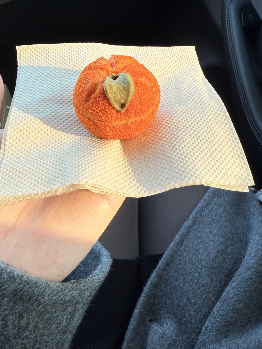 林糖林脂肪 tweet media