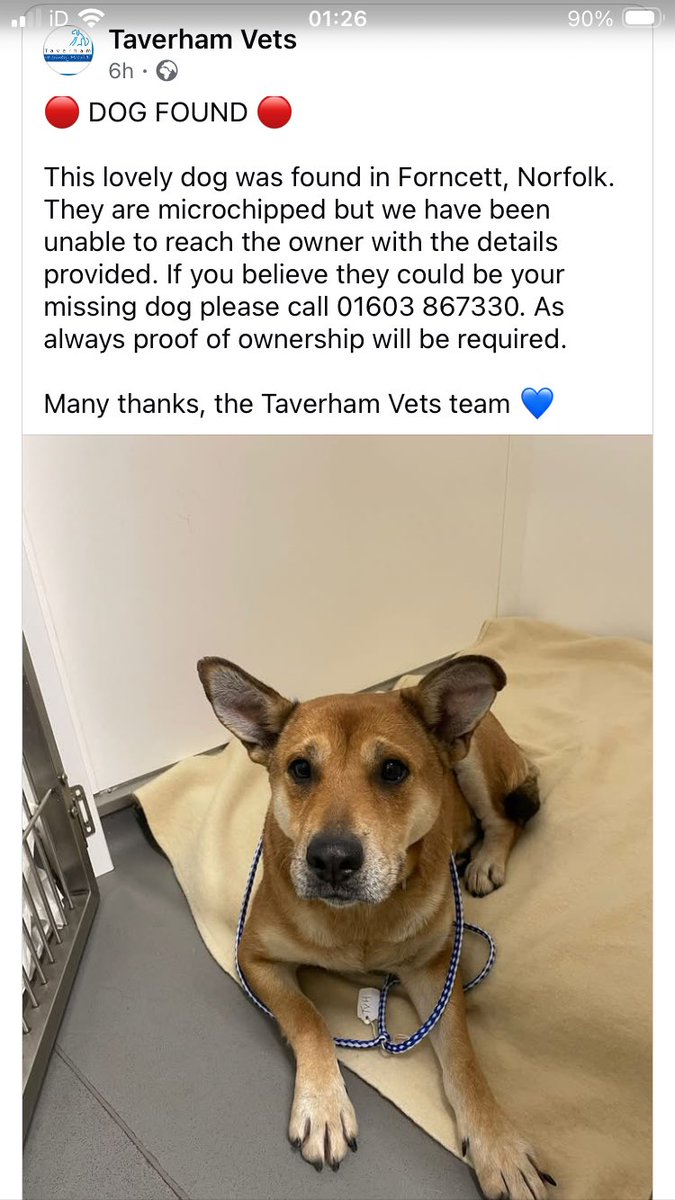 Please share - to locate owner

facebook.com/share/p/19uVtg…