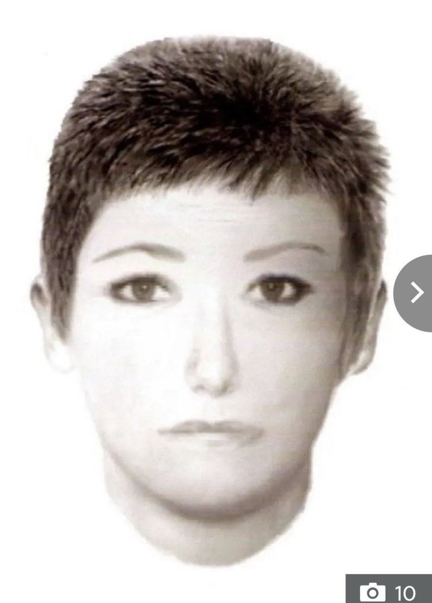 LIZ CROKIN tweet media