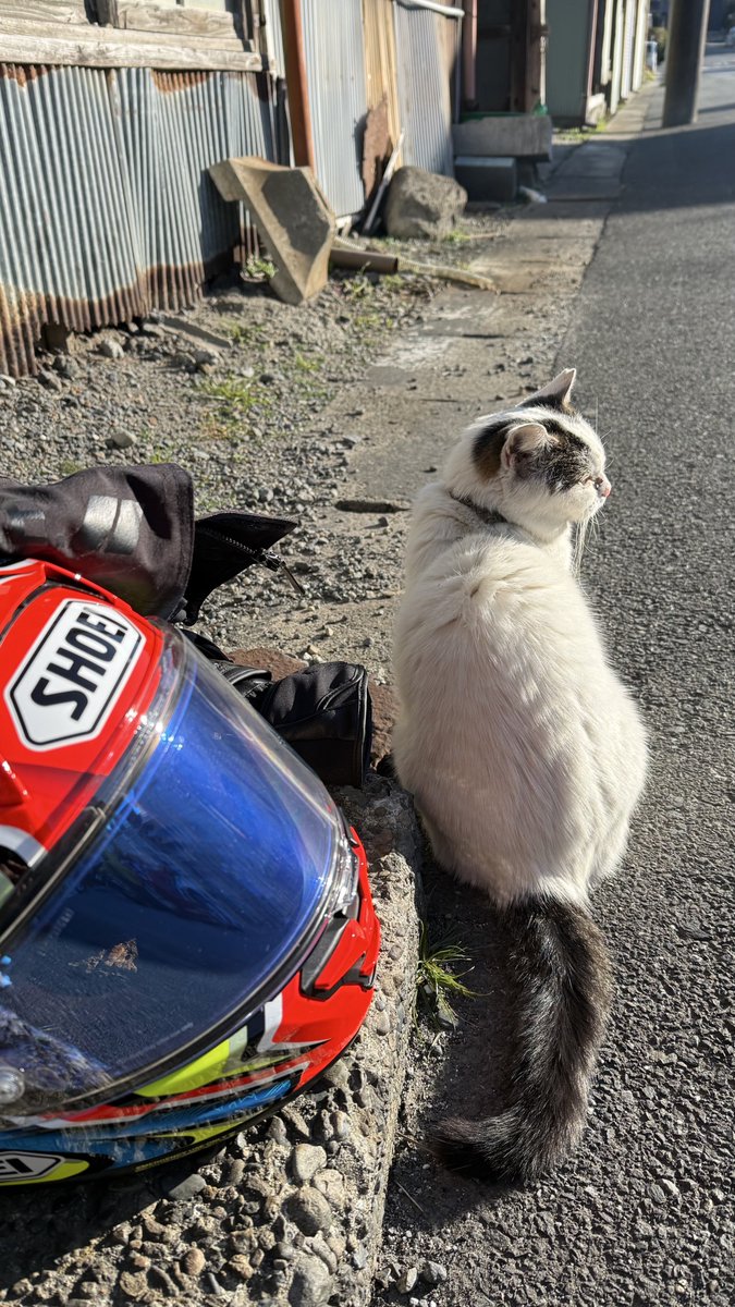 Rちゃん🪽CBR 600RR (@R_CHAN_25) / Posts / X