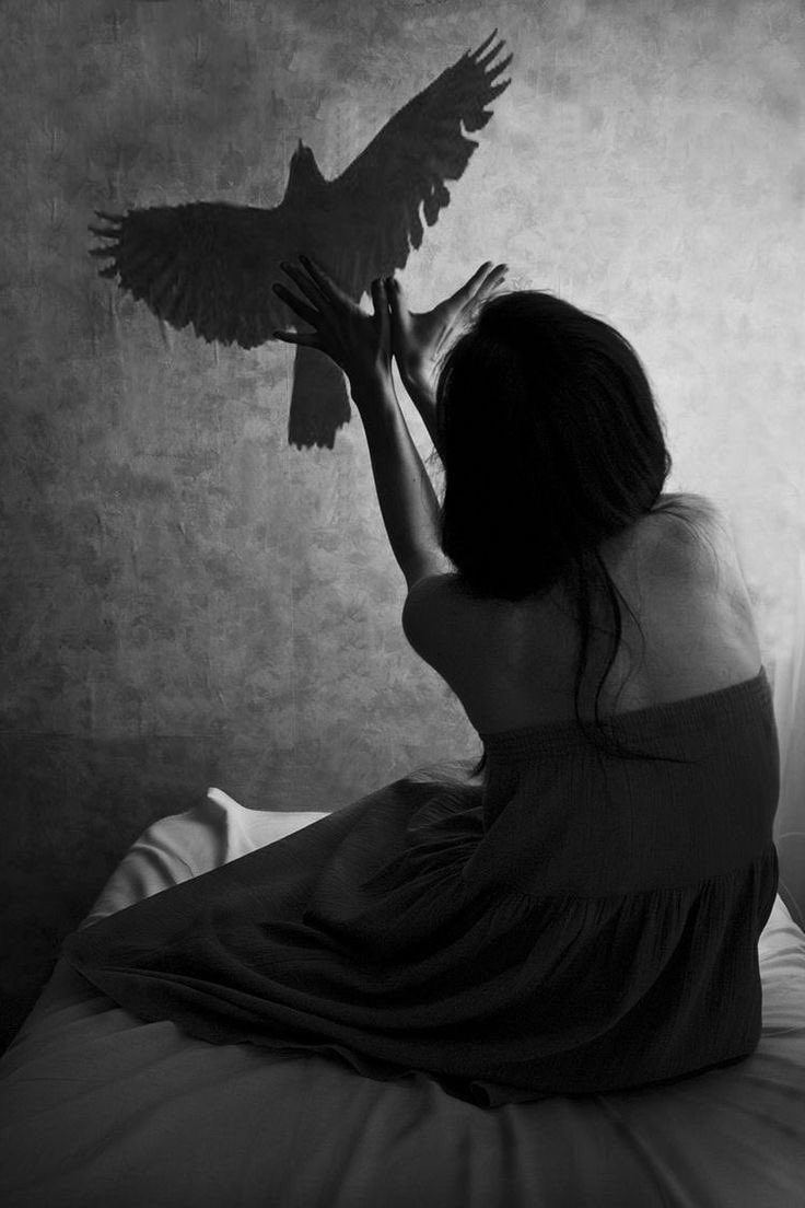 ⱯNDY WARR tweet media