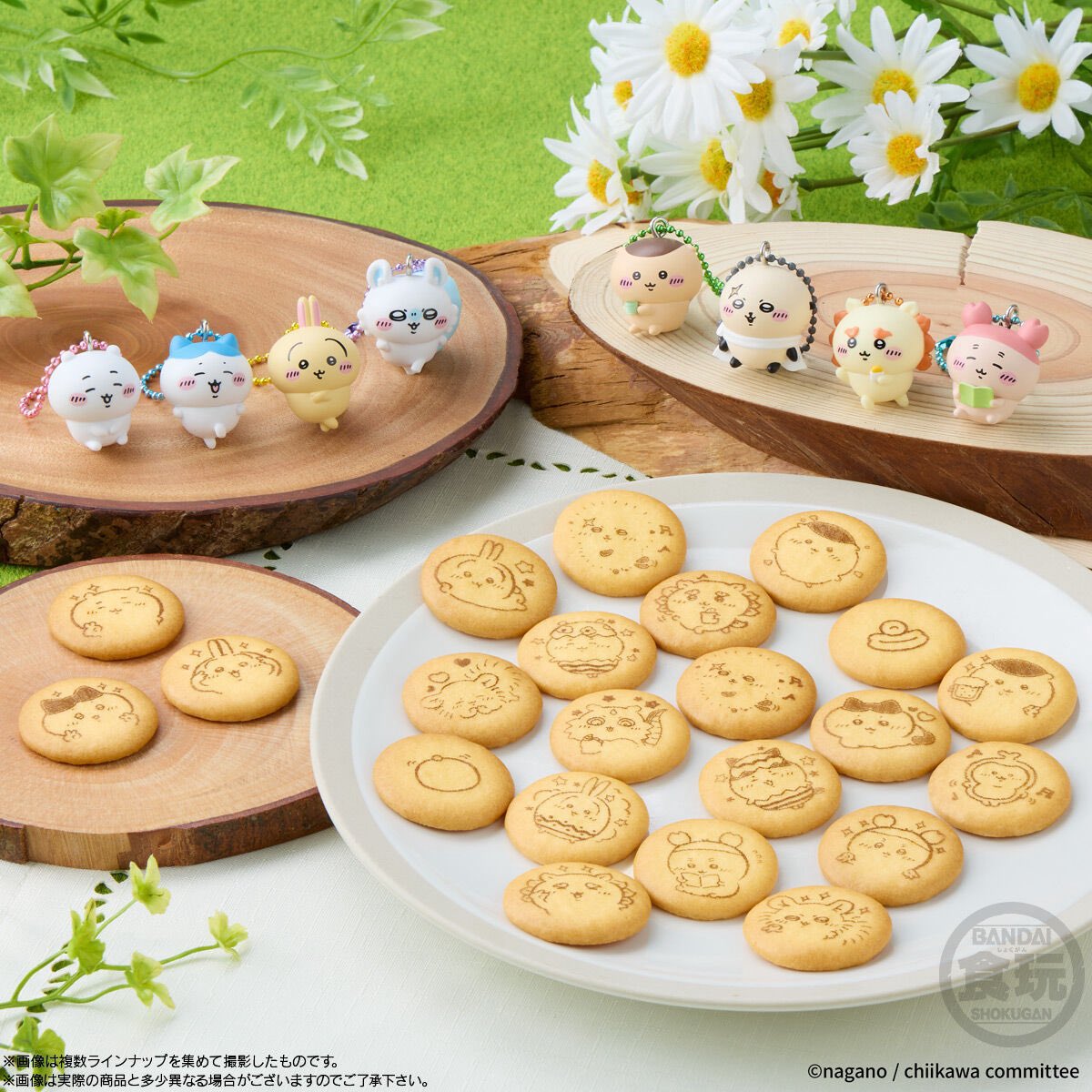 ちいかわらんど新宿店 ＼✨新商品入荷のお知らせ✨／ 『ちいかわ