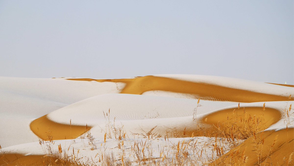 Take a slow stroll through the Lop Nur Village in Yuli County, Xinjiang.
Enjoy the lively local folk songs and dances, or head out to admire the stunning view of the snow-covered desert and poplar forests. Every corner feels like a perfect photo waiting to happen!