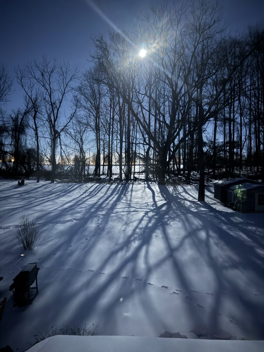 Darryl J. Madden tweet media