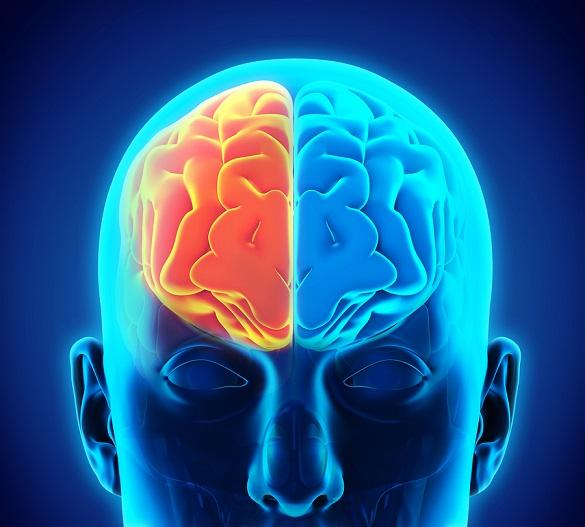 AGIHound tweet media