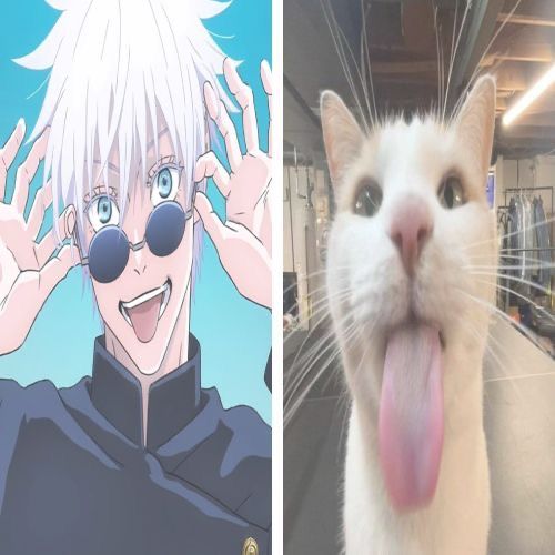 Satoru tweet media