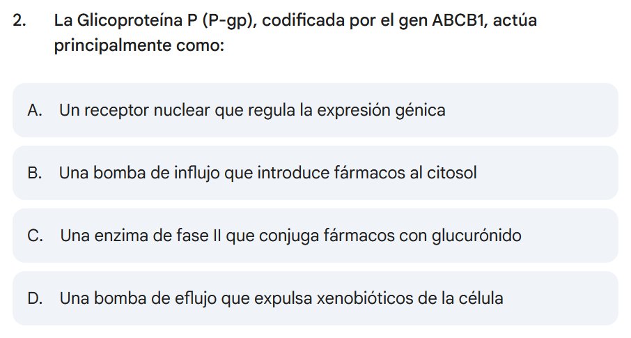 Its_C4mii's tweet photo. También es conocido como MDR1, y actúa en la membrana canalicular del hepatocito
#medicina #examen #repaso https://t.co/TBiD2Sq3su