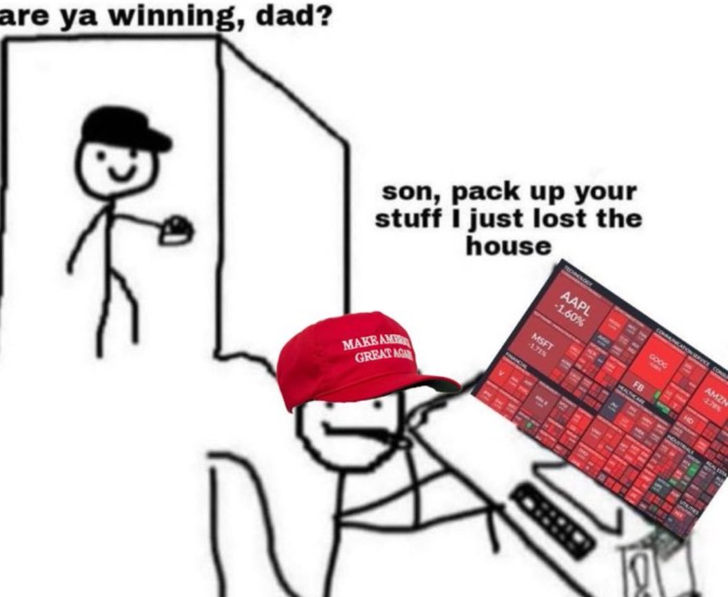 🟩Zerocool.sol🦎 tweet media