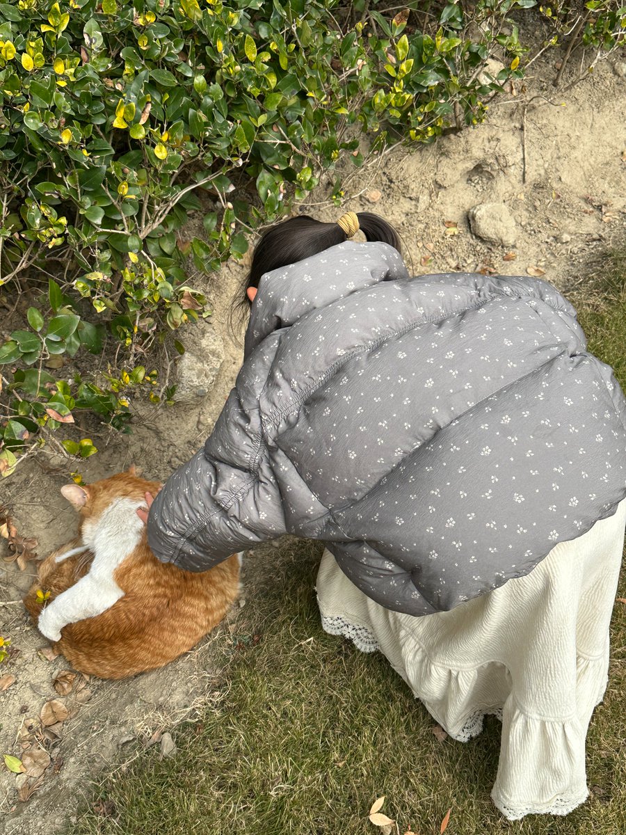 fllovebts's tweet photo. 一只可爱的流浪猫 https://t.co/5GfR5Iwd3R