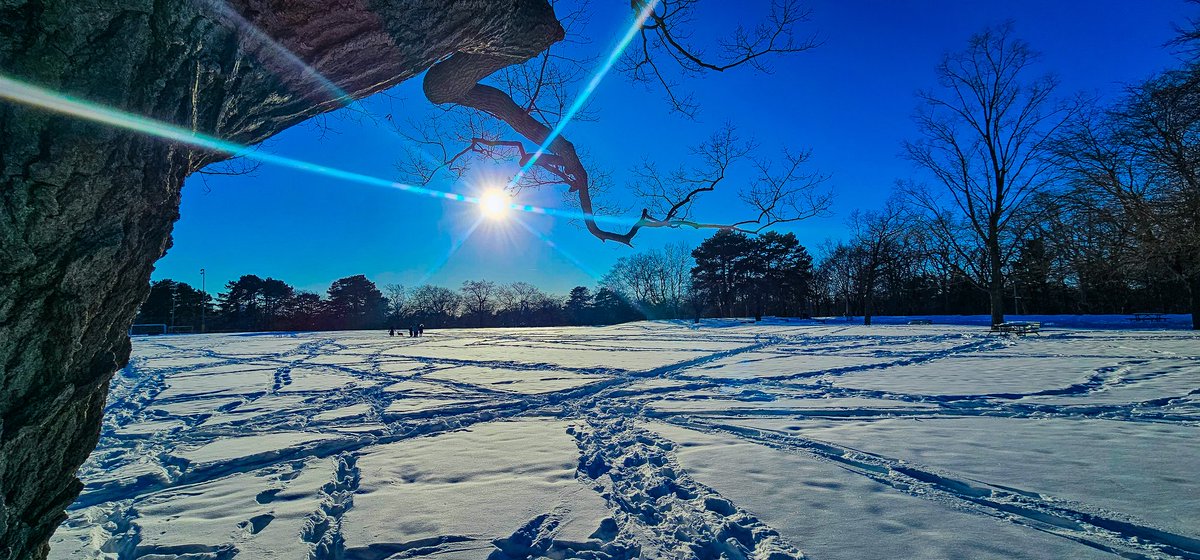 CWolfeShots's tweet photo. ❄️ #winterwonderland https://t.co/Ad0tgdhcPp