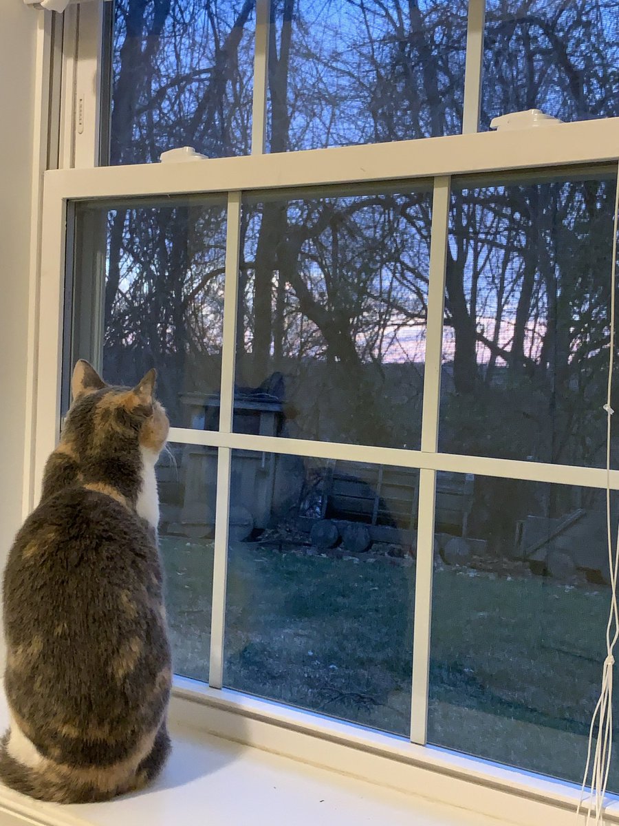 행복은 주어지는 것이 아니라 발견하는것. 행복의 빈도수를 늘리세요.