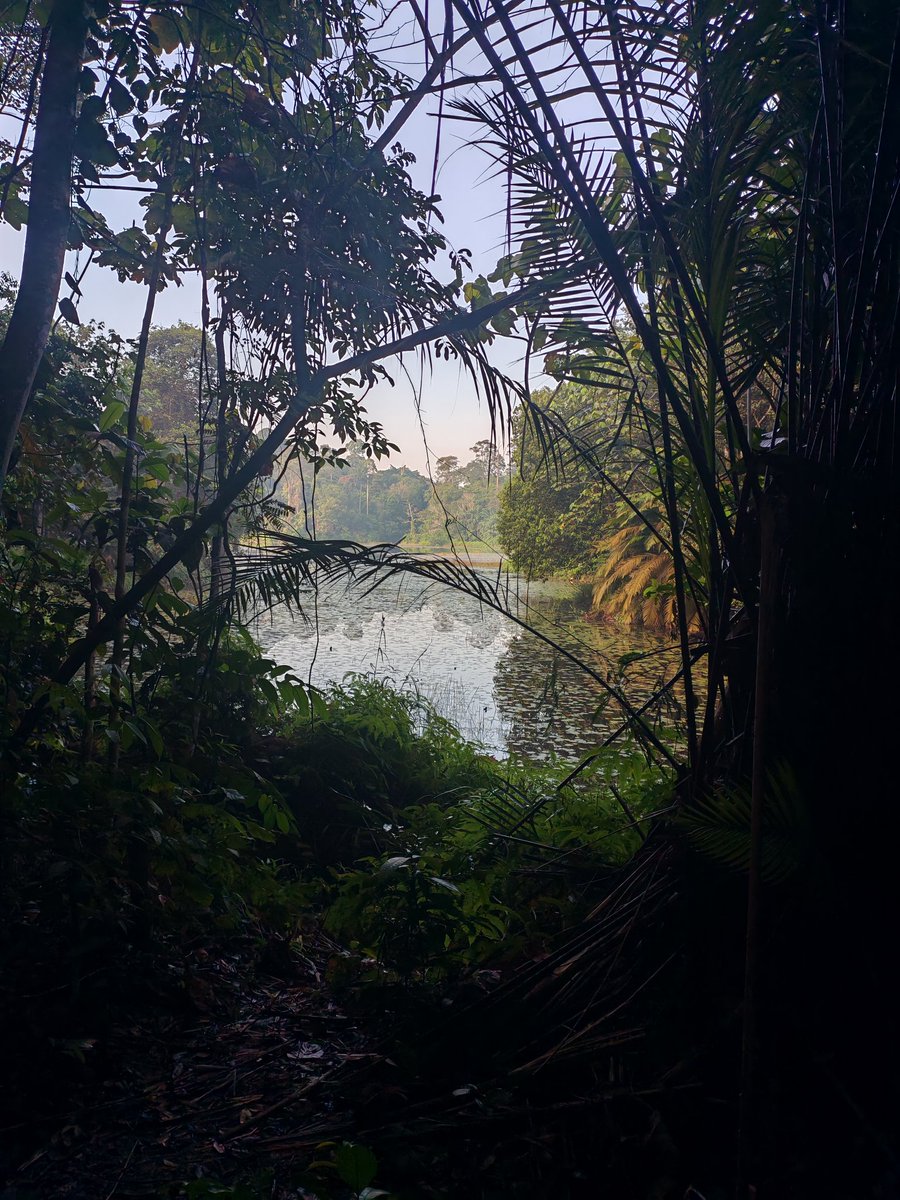 ladymissazira's tweet photo. #laterpost Hiking in Shah Alam Forest Reserve. It was surprisingly doable with a baby. https://t.co/3fcj3hKCgC