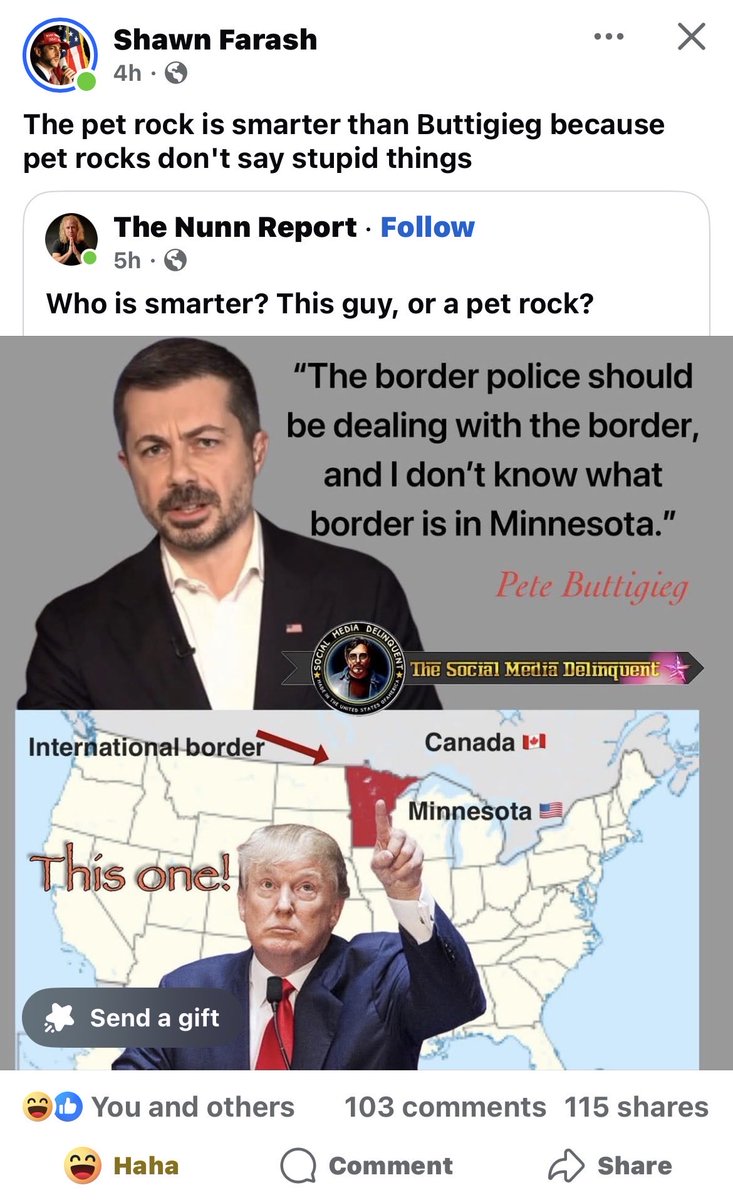 Which is smarter, Mayor Pete or a pet rock 🤔
