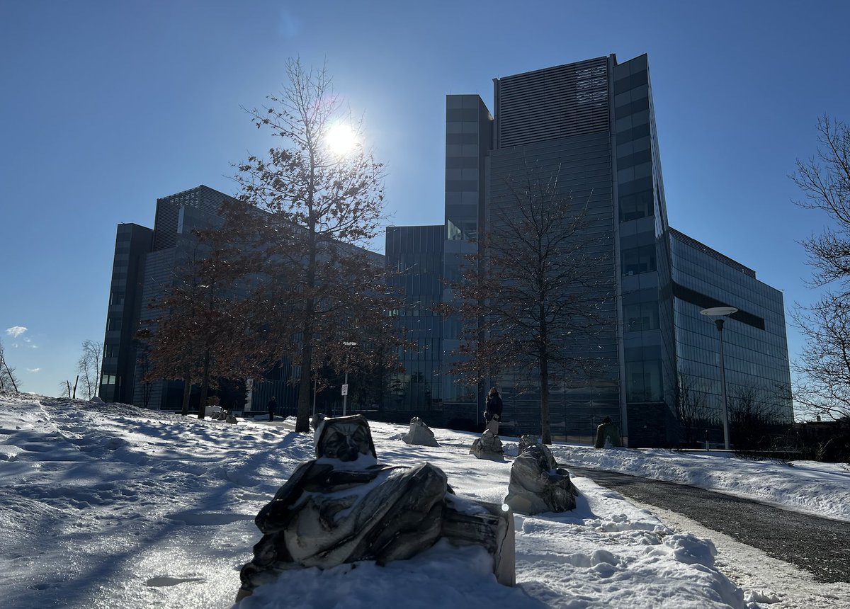 Meriles Lab tweet media