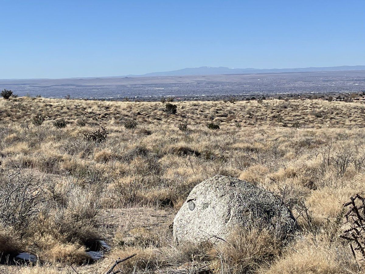 Coach Rich Dafter tweet media