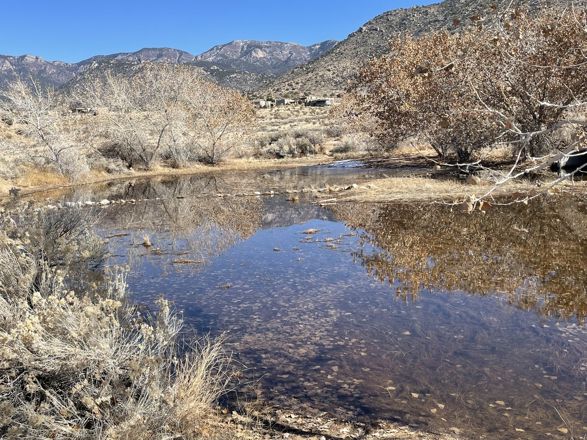 Coach Rich Dafter tweet media