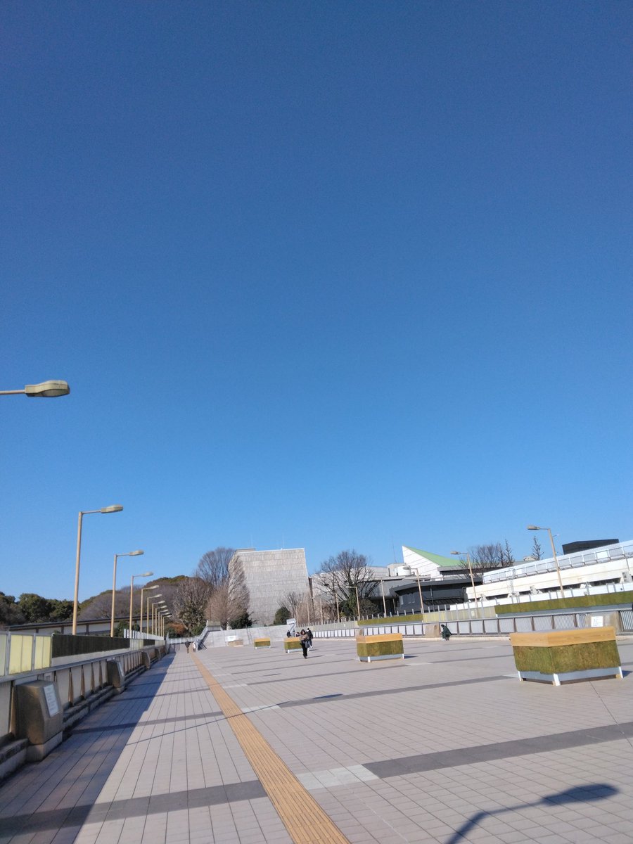 tellmeshowme's tweet photo. 今日はちょっと暖かく感じちゃう。これはきっとパンダ🐼も喜ぶわぁ～。というわけで11:30～12:50くらいまでパンダのいない上野動物園入口付近で演ってます♪ https://t.co/BzO3YDB0DQ