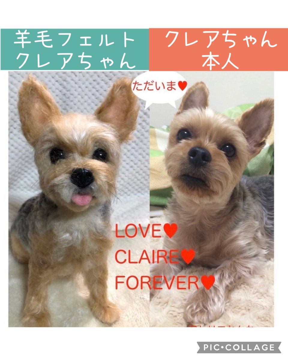 そう言えば以前は､羊毛フェルトのオーダーは猫ちゃんやワンちゃんが