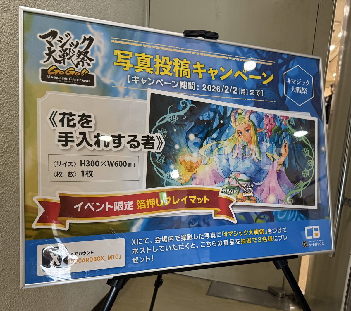 カードボックス MTG (@CARDBOX_MTG) / Highlights / X