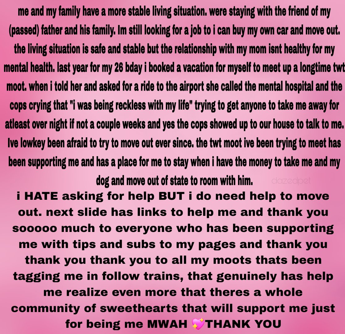 olive 🐶 tweet media