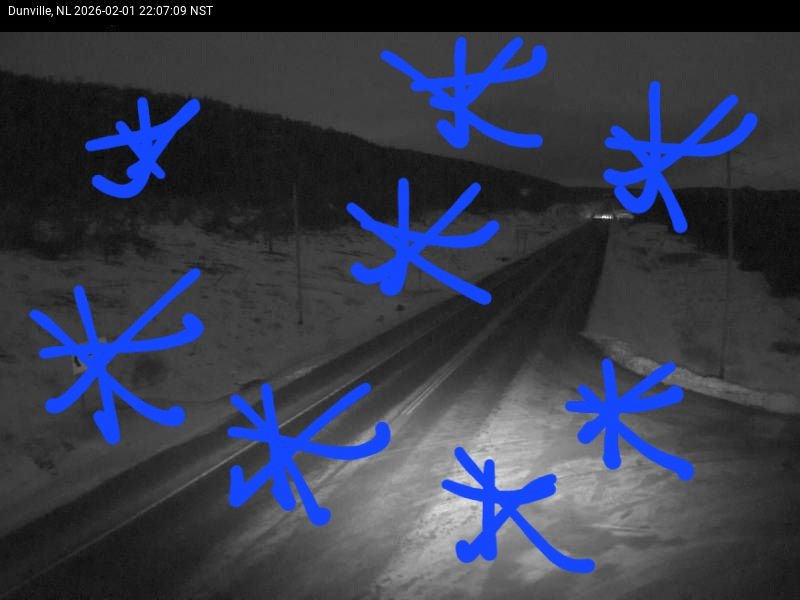 Kelly Butt  tweet media