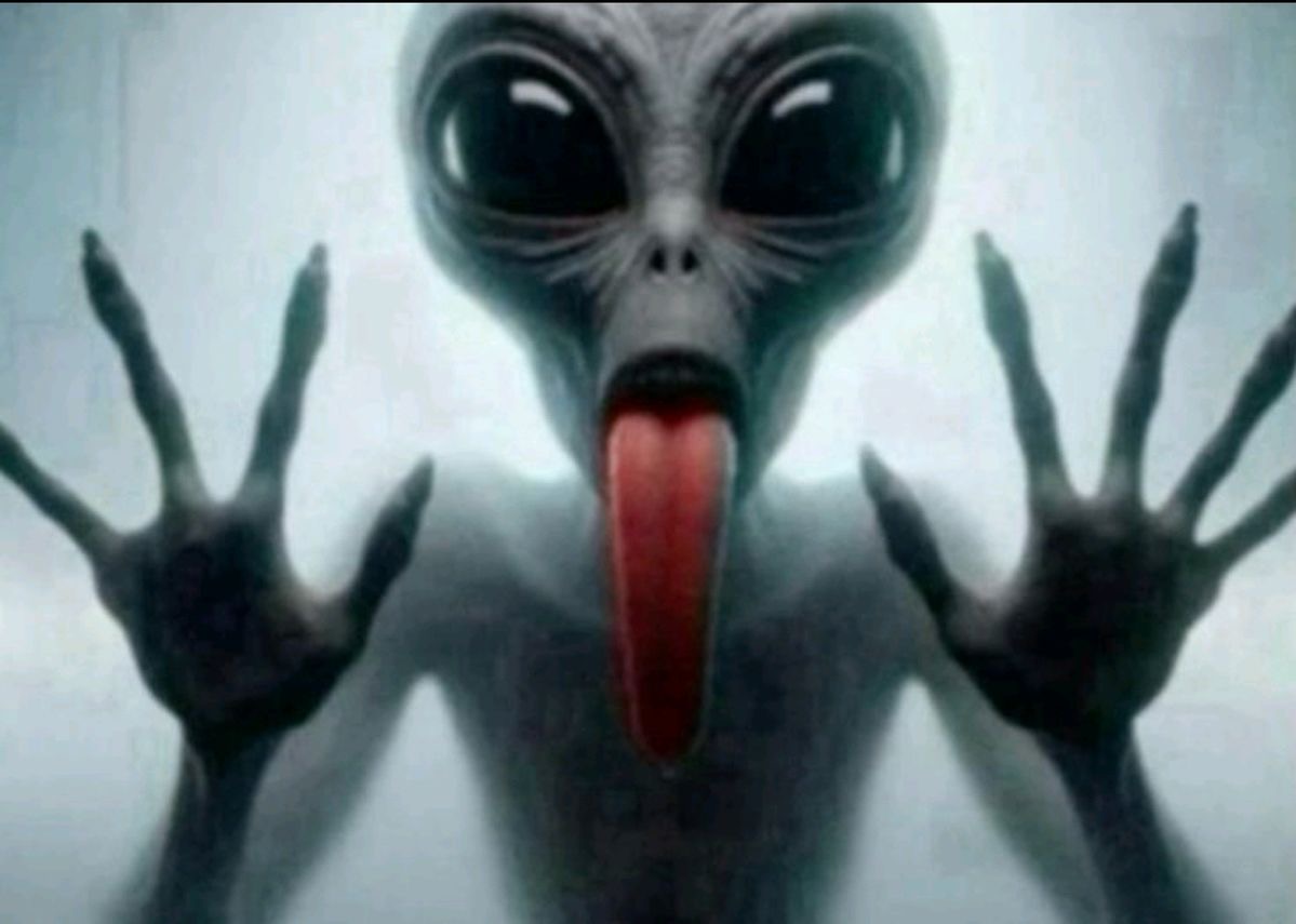 ⊹ ࣪ ˖ Cole Cassidys nutsack ⋆˚꩜。 tweet media