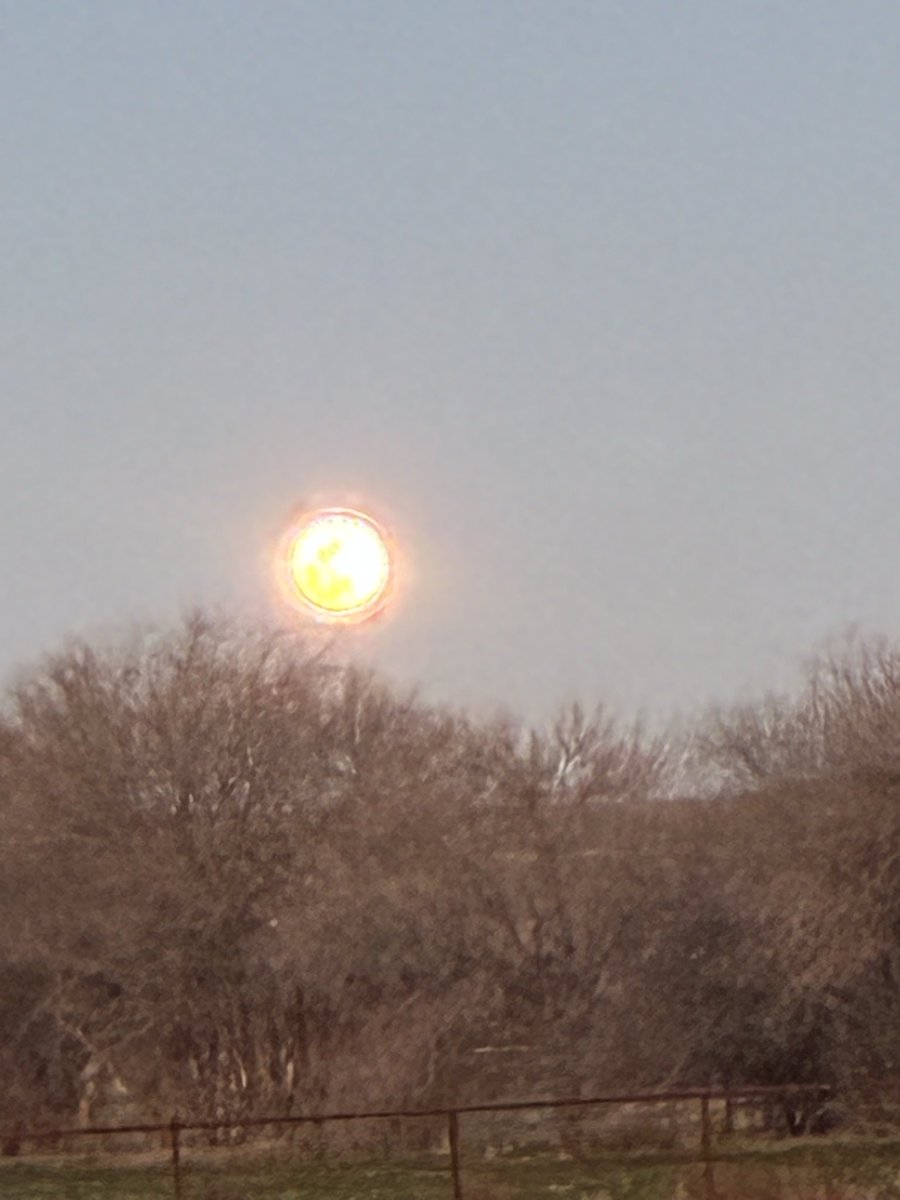 ReedRizer219's tweet photo. February moonrise…also, last week’s snow. https://t.co/Ghk0OEhFH8