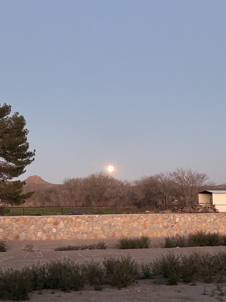 ReedRizer219's tweet photo. February moonrise…also, last week’s snow. https://t.co/Ghk0OEhFH8