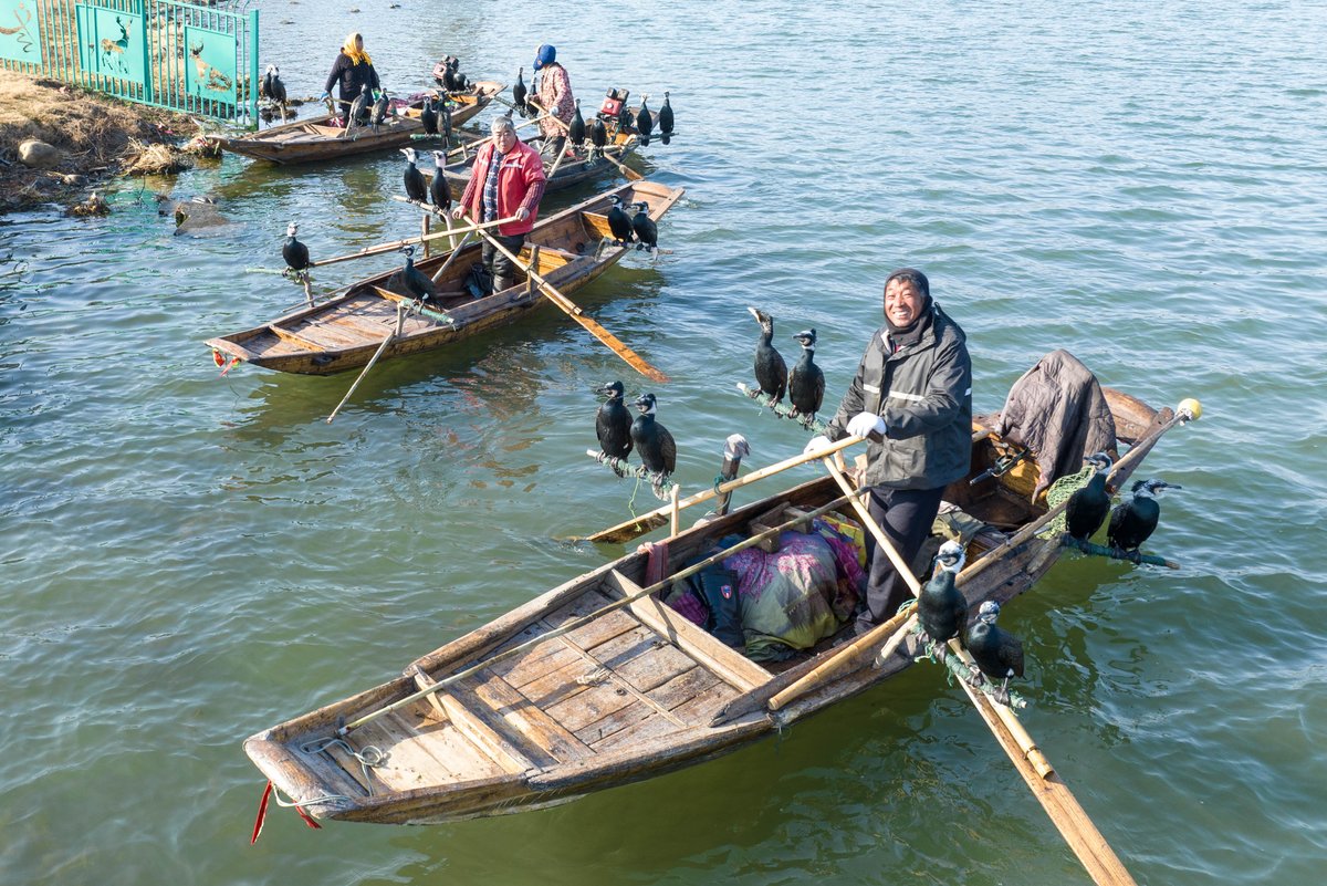 Ice fishing season is here at Qinhu Lake in Taizhou! 🐟
As winter settles in, local fishermen take to the frozen waters for the traditional winter catch — a time-honored practice that brings together nature, heritage, and the joy of harvest.