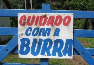 prisales's tweet photo. Silêncio que a Maxiane tá falando #BBB26 https://t.co/kn0N4DNi0X